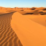 Dune