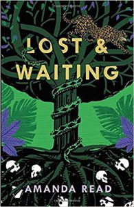 Cover of Amanda Read's book Lost and Waiting